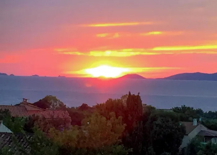 Corsicadream Arone Superbe Dans Villa, Vue Panoramique Mer, Piscine, Proche Porticcio דירה